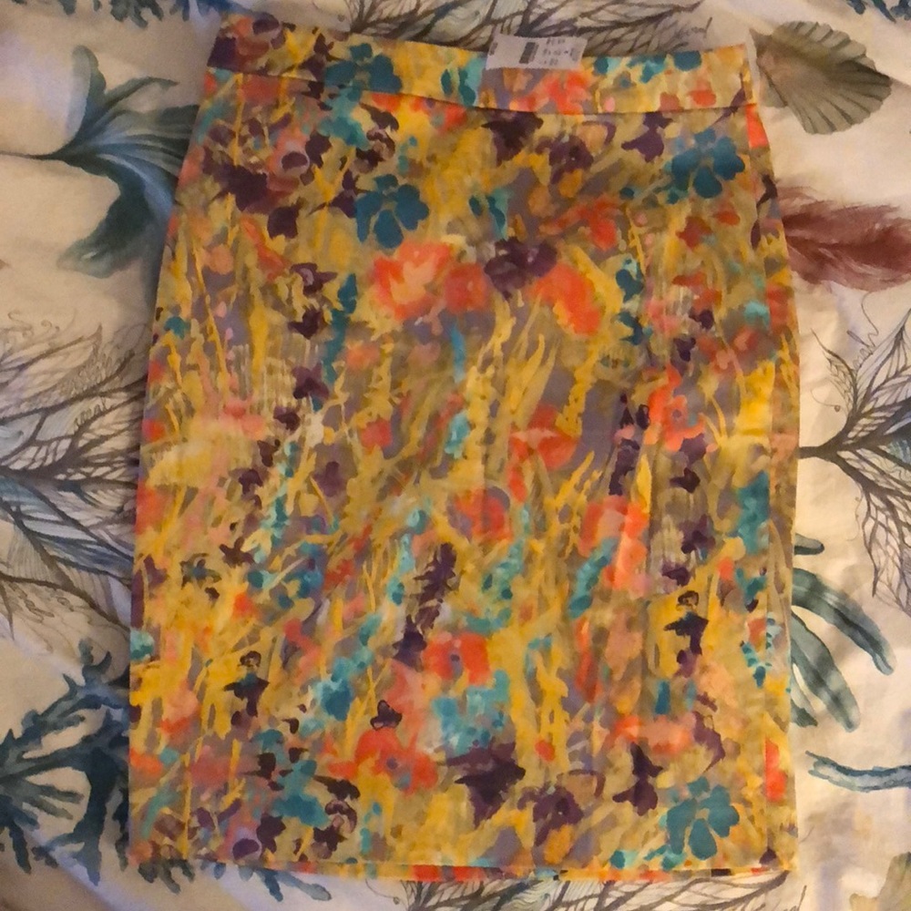 J Crew NWT Pencil Skirt Size 2